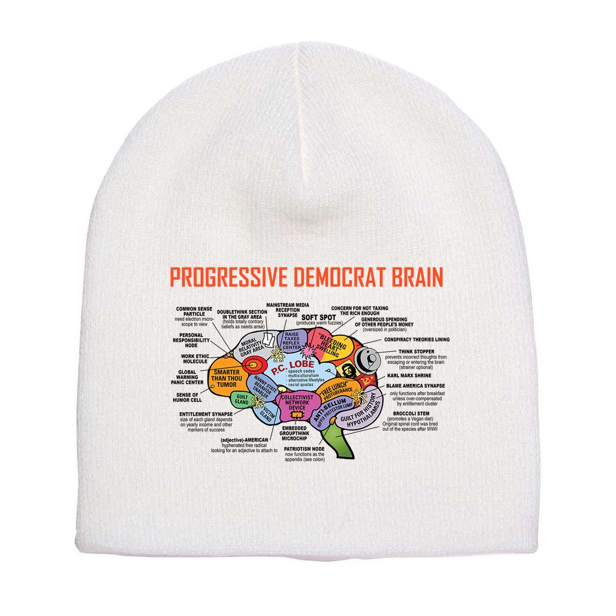 Progressive Democrat Brain Diagram Funny Short Acrylic Beanie
