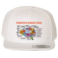 Progressive Democrat Brain Diagram Funny Wool Snapback Cap