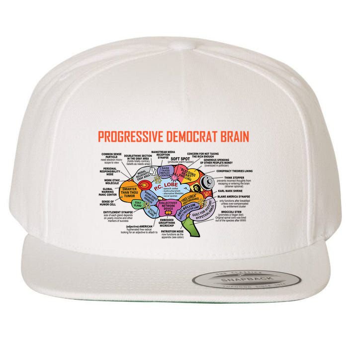 Progressive Democrat Brain Diagram Funny Wool Snapback Cap