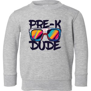 Prek Dude Back To School Prek Boy Girl Toddler Sweatshirt