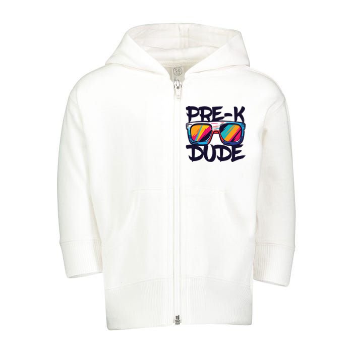 Prek Dude Back To School Prek Boy Girl Toddler Zip Fleece Hoodie