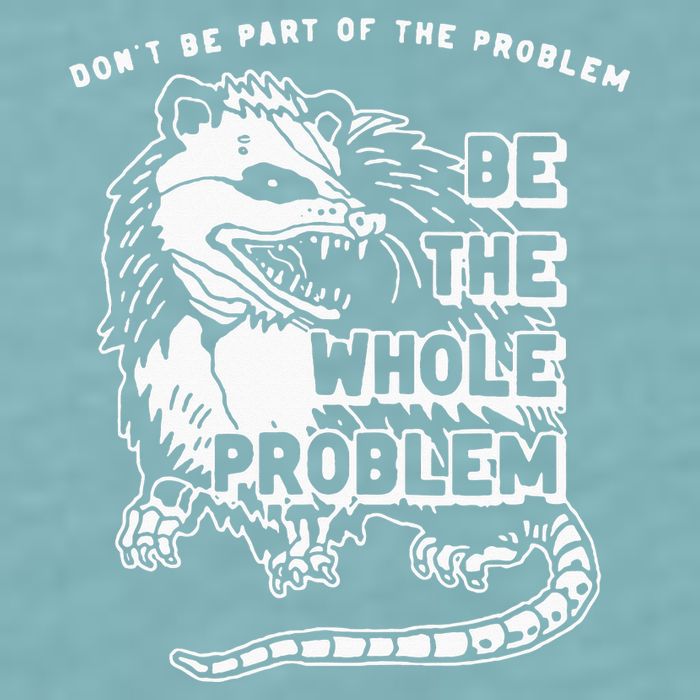 Possum Don't Be Part Of The Problem Be The Entire Problem Sueded Cloud Jersey T-Shirt