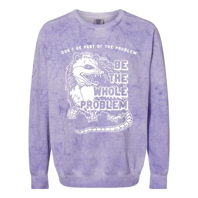 Possum Don't Be Part Of The Problem Be The Entire Problem Colorblast Crewneck Sweatshirt