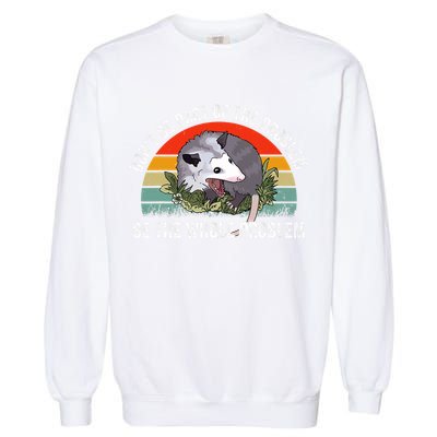 Possum Don't Be Part Of The Problem Be The Entire Problem Funny Opossum Garment-Dyed Sweatshirt