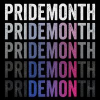Pride Demon Bisexual Bi Pride Month Lgbtq Gay Lesbian Queer Women's V-Neck T-Shirt