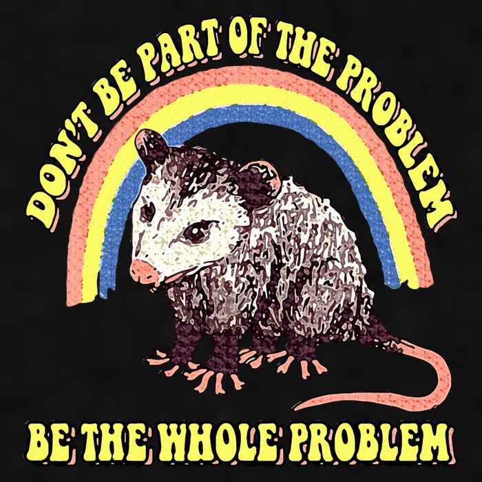 Possum DonT Be Part Of The Problem Be The Whole Problem Ladies PosiCharge Tri-Blend Wicking Tank