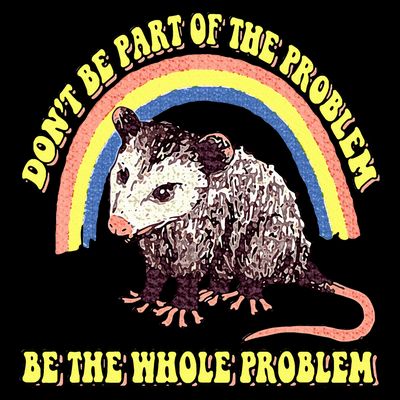 Possum DonT Be Part Of The Problem Be The Whole Problem T-Shirt