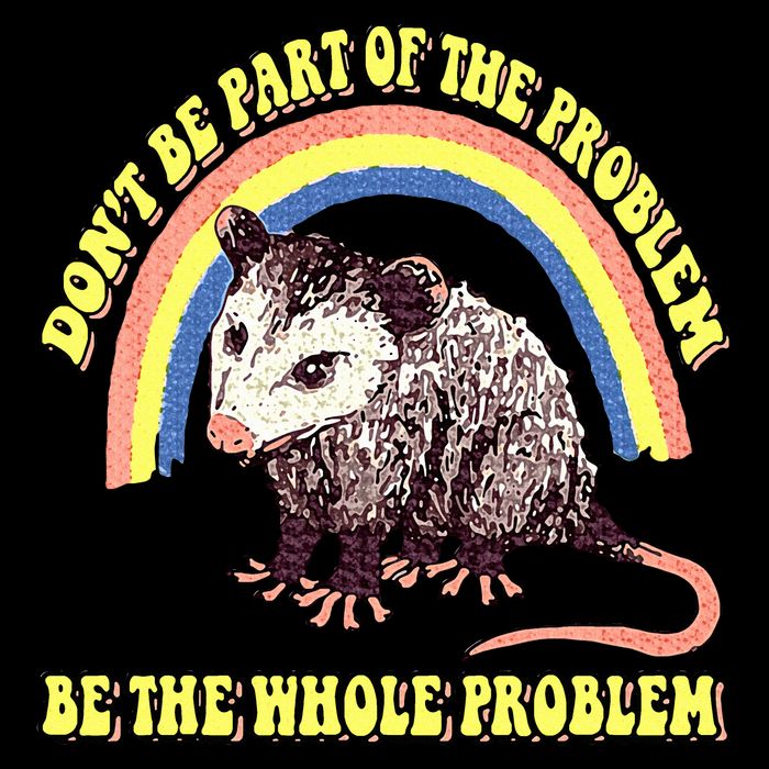 Possum DonT Be Part Of The Problem Be The Whole Problem Tall T-Shirt