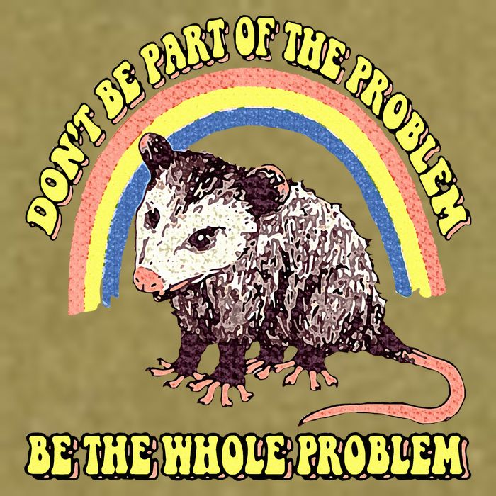 Possum DonT Be Part Of The Problem Be The Whole Problem Garment-Dyed Women's Muscle Tee