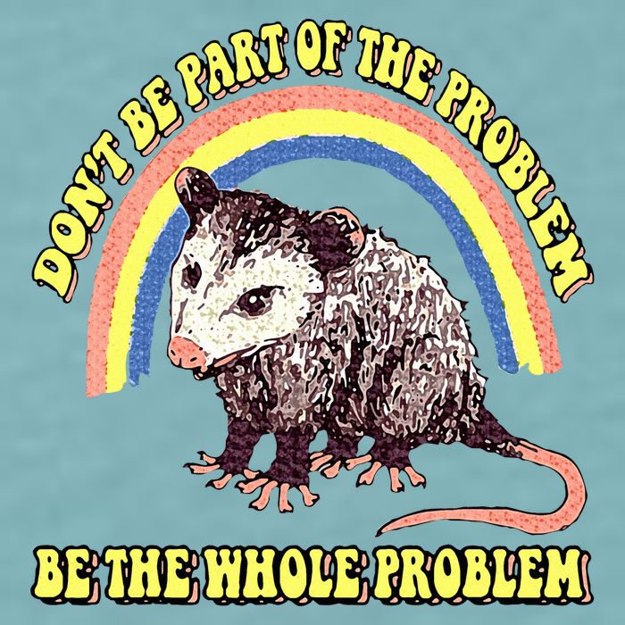 Possum DonT Be Part Of The Problem Be The Whole Problem Sueded Cloud Jersey T-Shirt