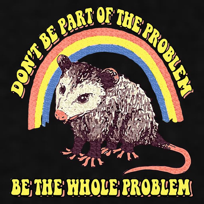 Possum DonT Be Part Of The Problem Be The Whole Problem Ladies PosiCharge Tri-Blend Wicking Tank
