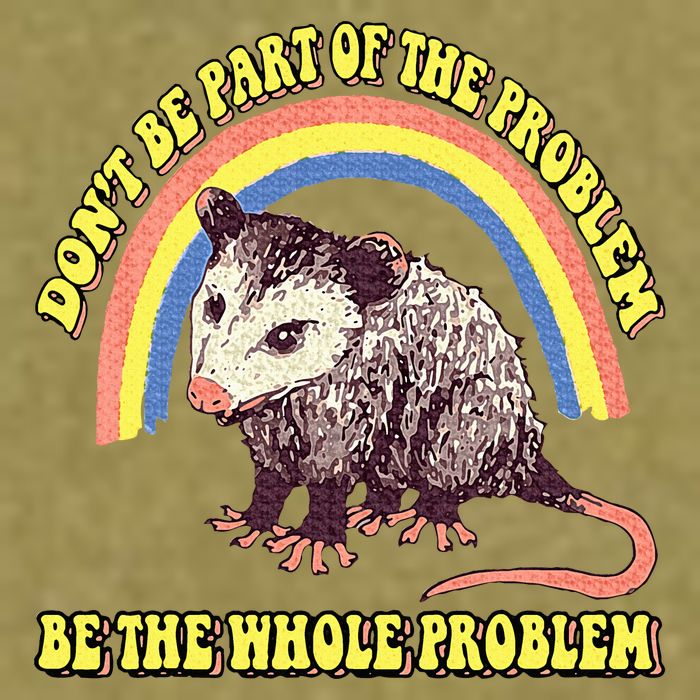 Possum DonT Be Part Of The Problem Be The Whole Problem Garment-Dyed Women's Muscle Tee