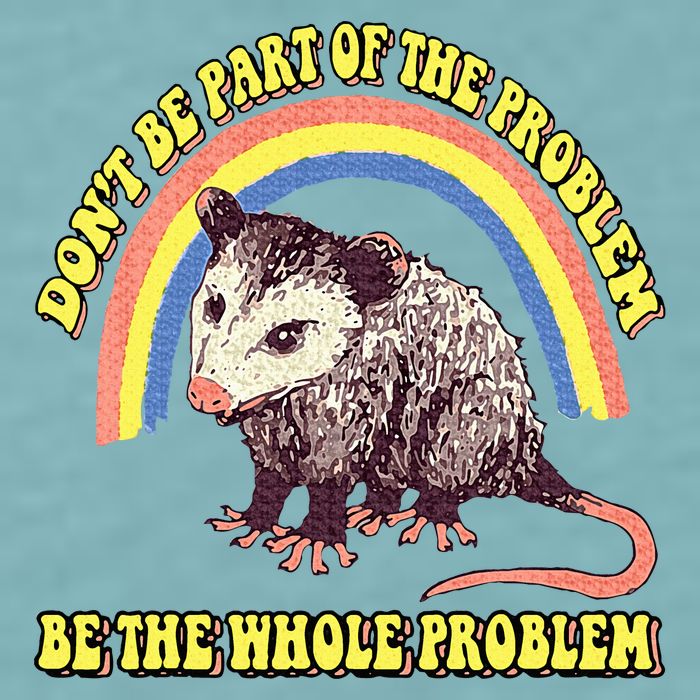 Possum DonT Be Part Of The Problem Be The Whole Problem Sueded Cloud Jersey T-Shirt