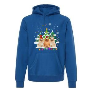 Pomeranian Dog Christmas Dogs Santa Reindeer Gift Premium Hoodie