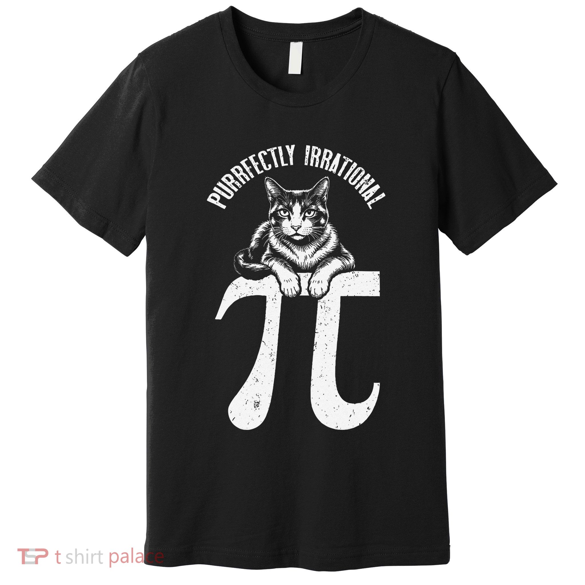Pi Day Cat Lover Purrfectly Irrational Number Math Teacher Premium T-Shirt