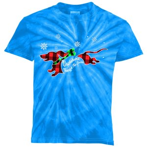 Plaid Dachshund Dog Through Snow Dog Lovers Merry Christmas Gift Kids Tie-Dye T-Shirt