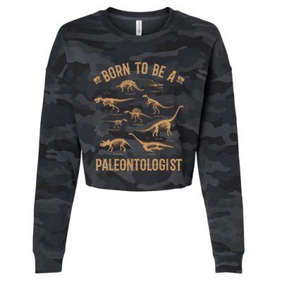 Paleontology Dino Dinosaurs Lover Paleontologist Gifts Cropped Pullover Crew