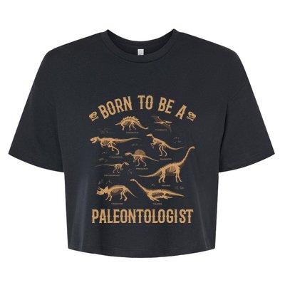 Paleontology Dino Dinosaurs Lover Paleontologist Gifts Bella+Canvas Jersey Crop Tee