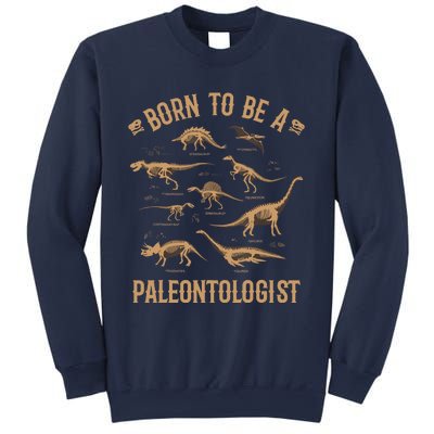 Paleontology Dino Dinosaurs Lover Paleontologist Gifts Sweatshirt