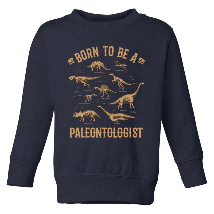 Paleontology Dino Dinosaurs Lover Paleontologist Gifts Toddler Sweatshirt