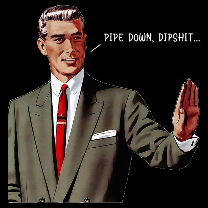 Pipe Down Dipshit  Cropped Pullover Crew