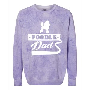 Poodle Dad Dog 'S Animal Dogs Great Gift Colorblast Crewneck Sweatshirt