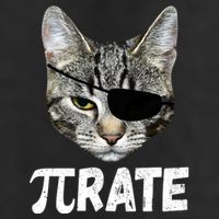 Pi Day Funny Cat Pirate 7 Panel Mesh Trucker Snapback Hat