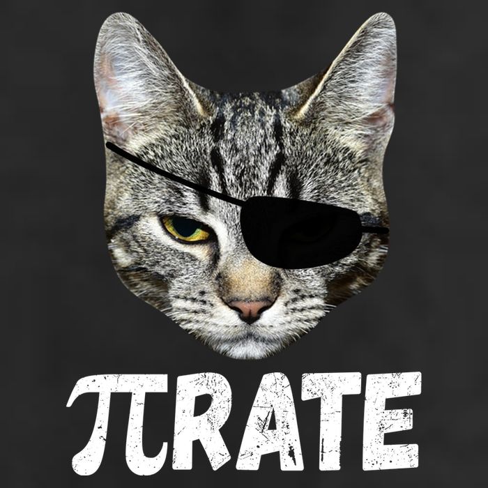 Pi Day Funny Cat Pirate 7 Panel Mesh Trucker Snapback Hat