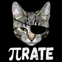 Pi Day Funny Cat Pirate Bag