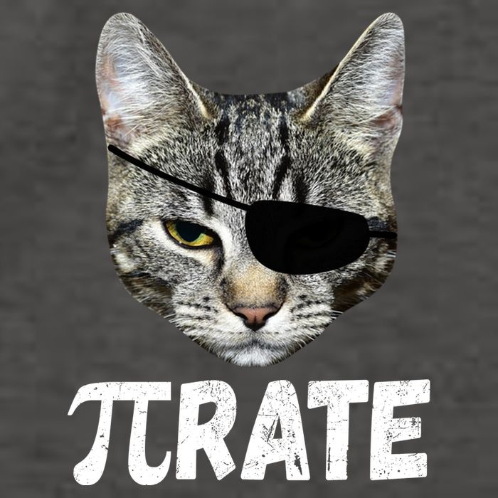 Pi Day Funny Cat Pirate Vector Backpack