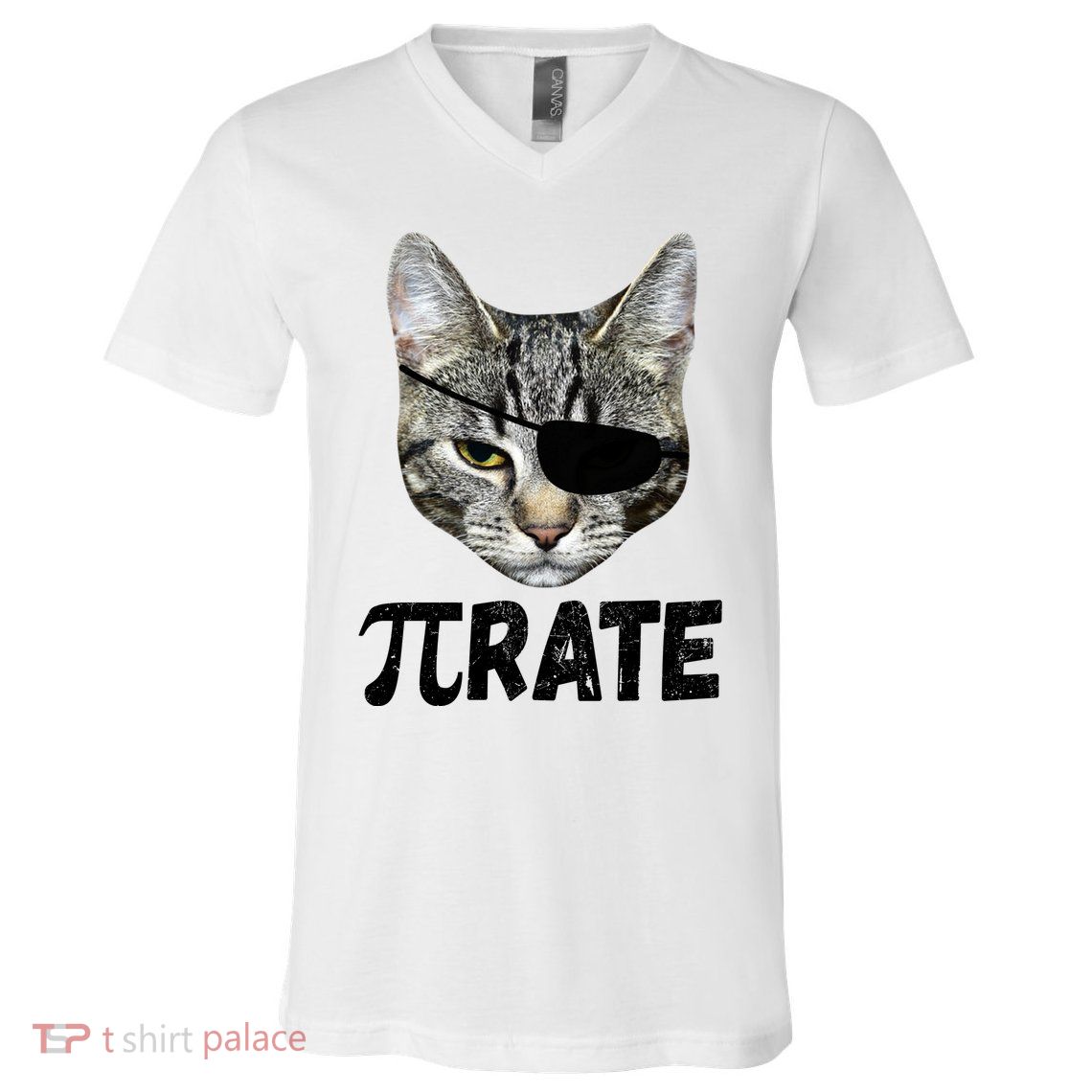 Pi Day Funny Cat Pirate V-Neck T-Shirt