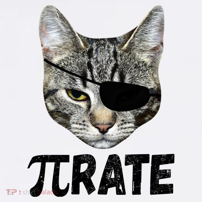 Pi Day Funny Cat Pirate 11oz C Handle Ceramic Mug
