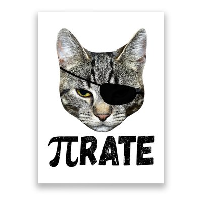 Pi Day Funny Cat Pirate Poster