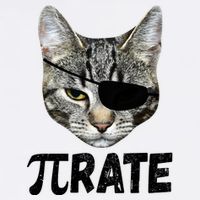 Pi Day Funny Cat Pirate Wool Snapback Cap