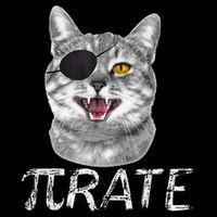 Pi Day Funny Math Science Cat Pirate Drawstring Bag