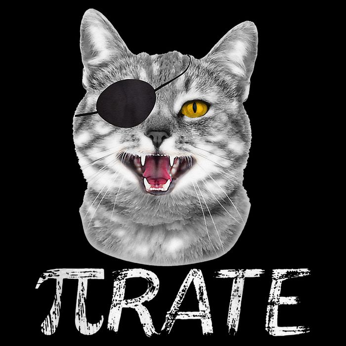 Pi Day Funny Math Science Cat Pirate Drawstring Bag