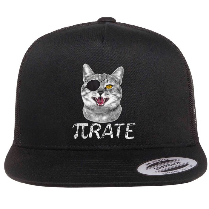 Pi Day Funny Math Science Cat Pirate Flat Bill Trucker Hat