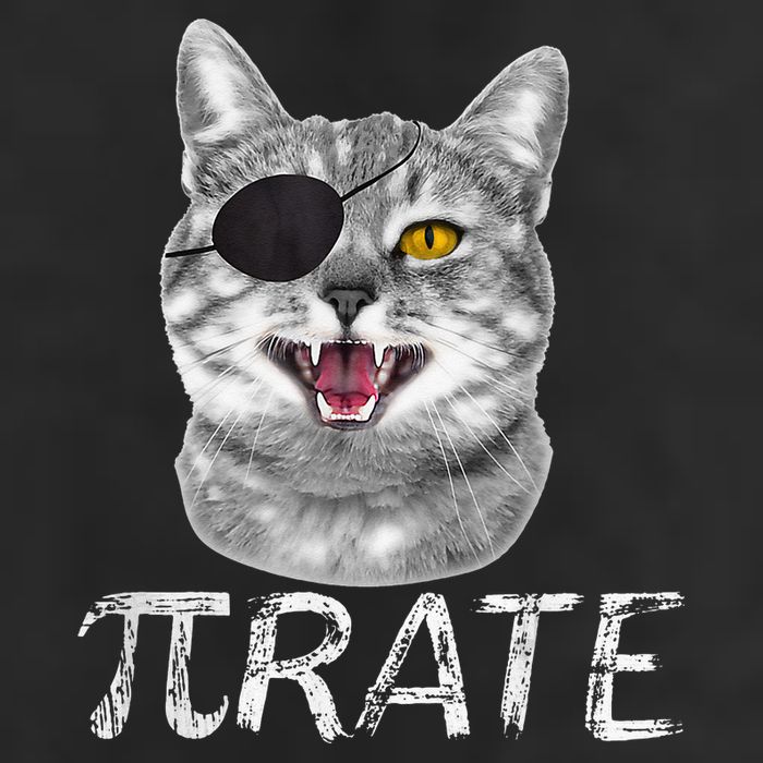 Pi Day Funny Math Science Cat Pirate Tumbler