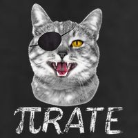 Pi Day Funny Math Science Cat Pirate Large Microfiber Waffle Golf Towel