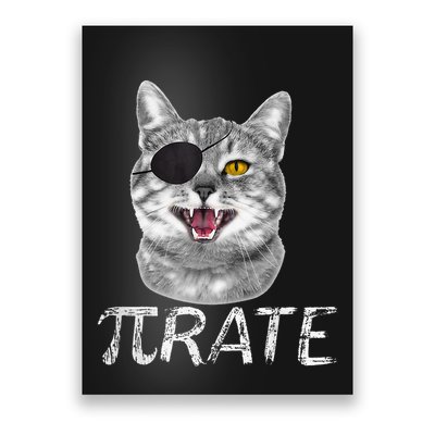 Pi Day Funny Math Science Cat Pirate Poster