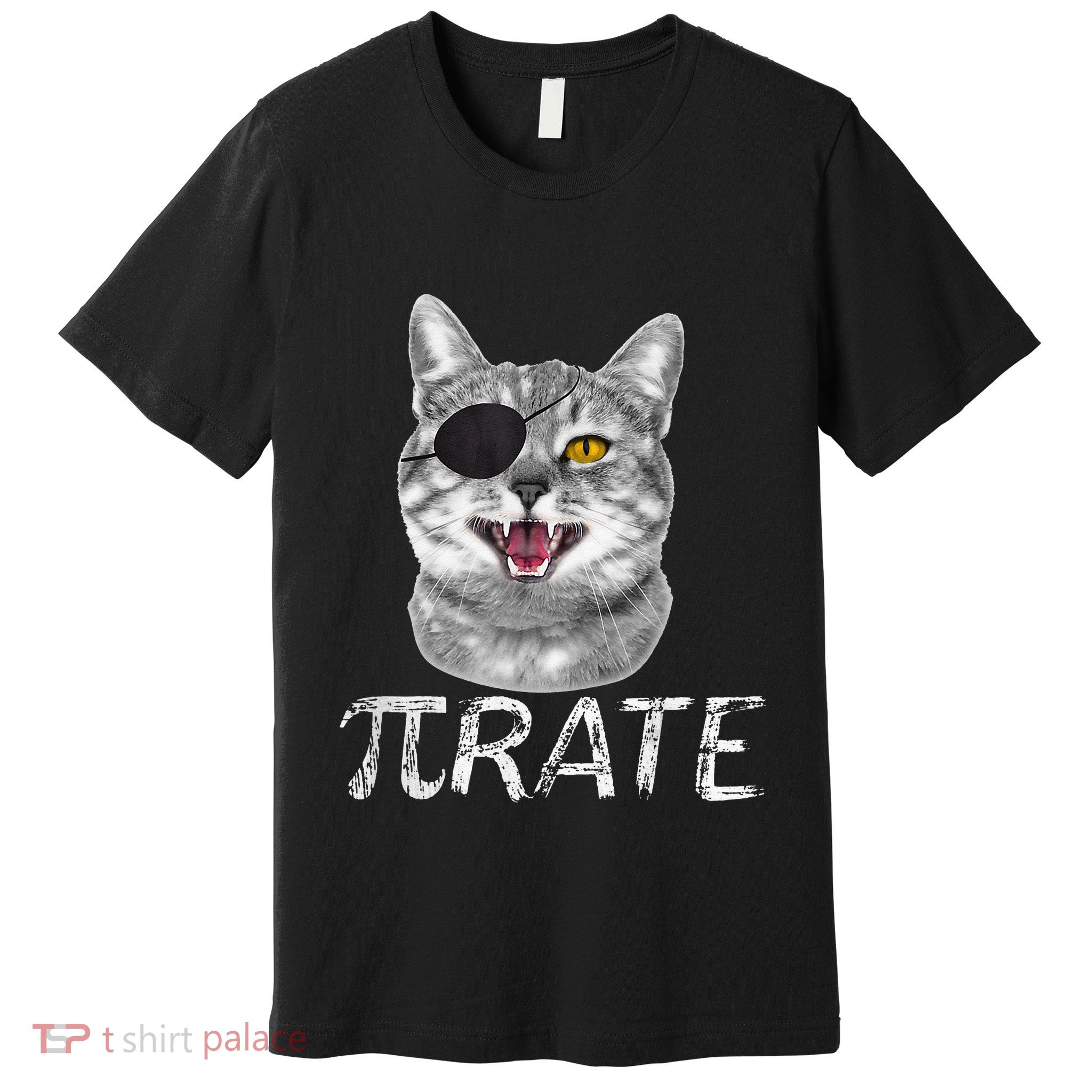 Pi Day Funny Math Science Cat Pirate Premium T-Shirt