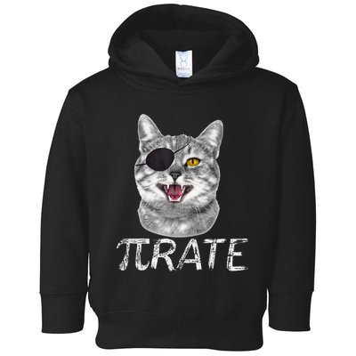 Pi Day Funny Math Science Cat Pirate Toddler Hoodie