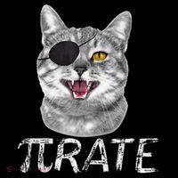 Pi Day Funny Math Science Cat Pirate Short Acrylic Beanie