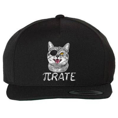 Pi Day Funny Math Science Cat Pirate Wool Snapback Cap