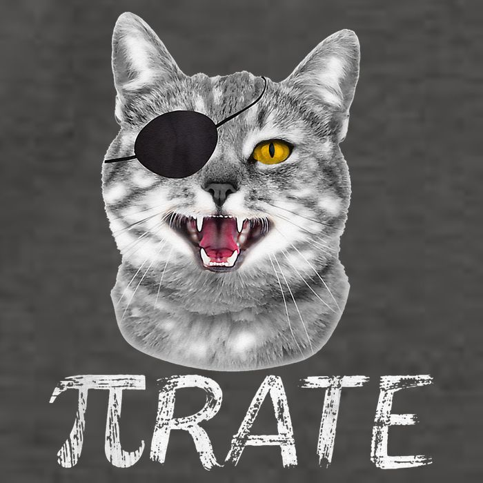 Pi Day Funny Math Science Cat Pirate Vector Backpack