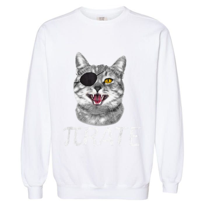 Pi Day Funny Math Science Cat Pirate Garment-Dyed Sweatshirt