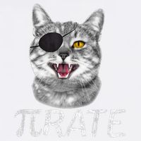 Pi Day Funny Math Science Cat Pirate Garment-Dyed Sweatshirt