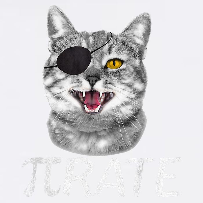 Pi Day Funny Math Science Cat Pirate Garment-Dyed Sweatshirt