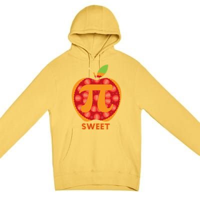 Pi Day Funny Apple Pie Humor Math Teacher Student Gift Premium Pullover Hoodie