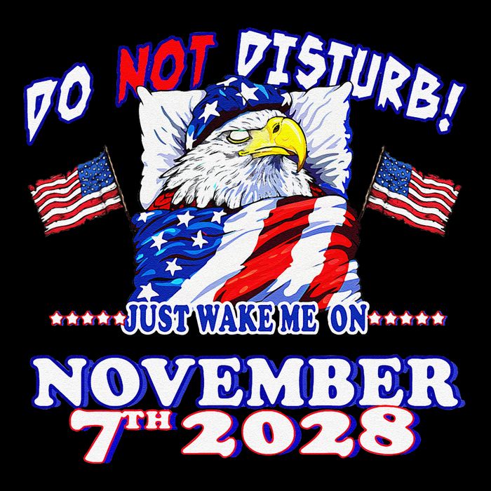 Pro Democracy Fourth July 4th Sarcastic Election Eagle 2028 Impact Tech Backpack